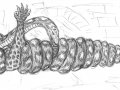 BagheeraSnake.jpg